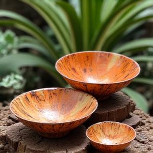 Coconut shell upcycled crafts