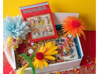 Holiday themed craft kit